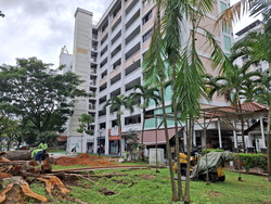 Hong Kah Ville (D22), Shop House #514351311